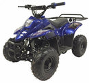 Youth Gas ATV with 110cc Engine
